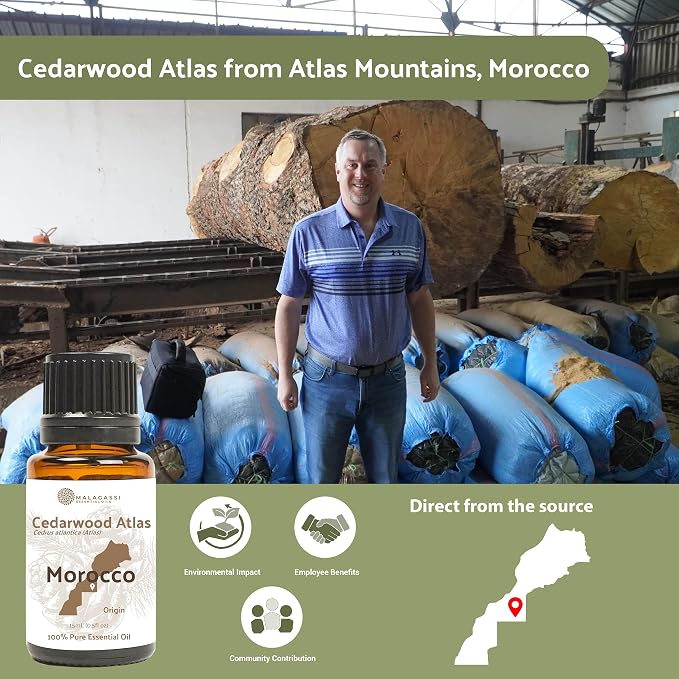 Cedarwood Atlas Essential Oil - Image 4