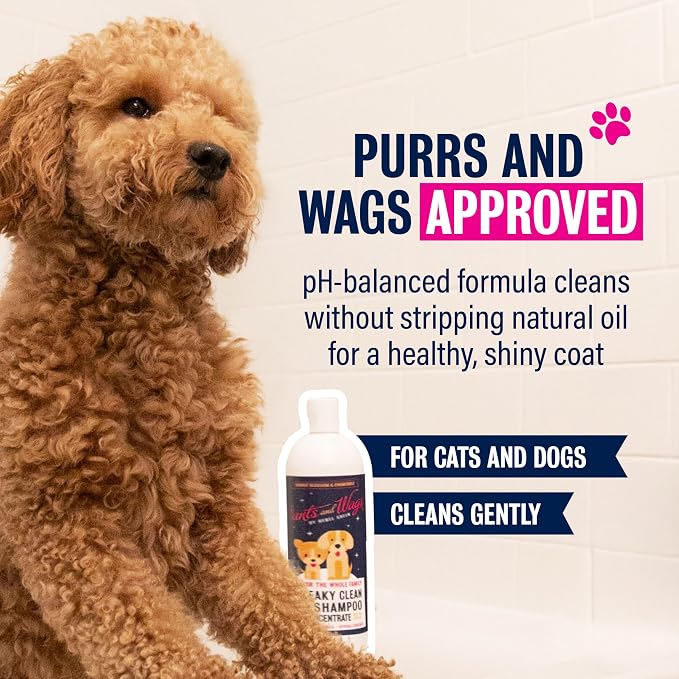 Pants and Wags by Rebel Green Squeaky Clean Pet Shampoo Concentrate - Image 3