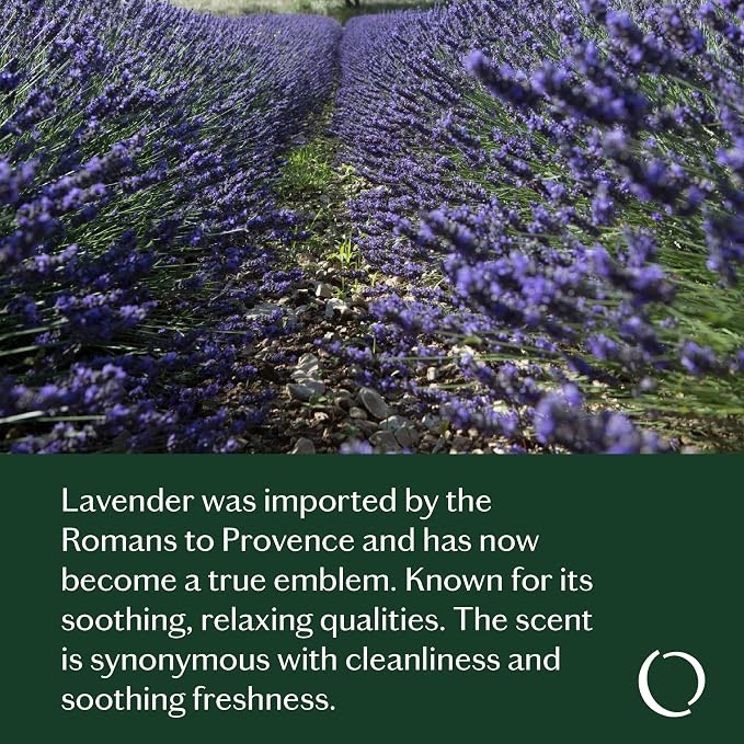 LIVEDROPS 24/7 Relaxed Essential Oil Blend - Image 5