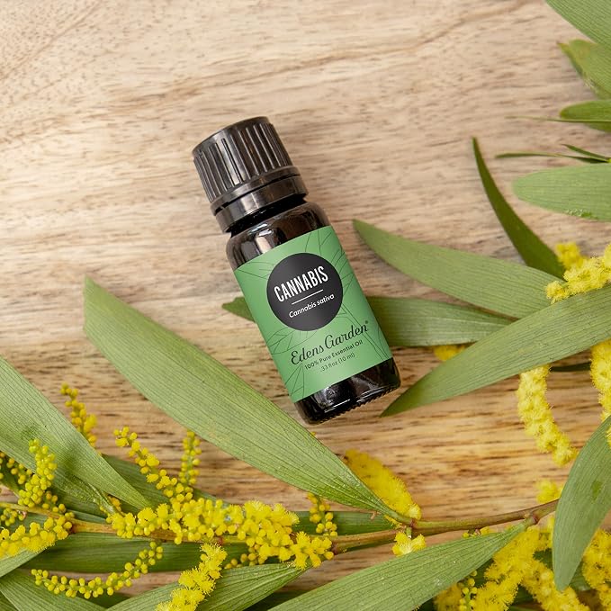 Edens Garden Cannabis Essential Oil- 100% Pure Premium Grade, Therapeutic - Image 2