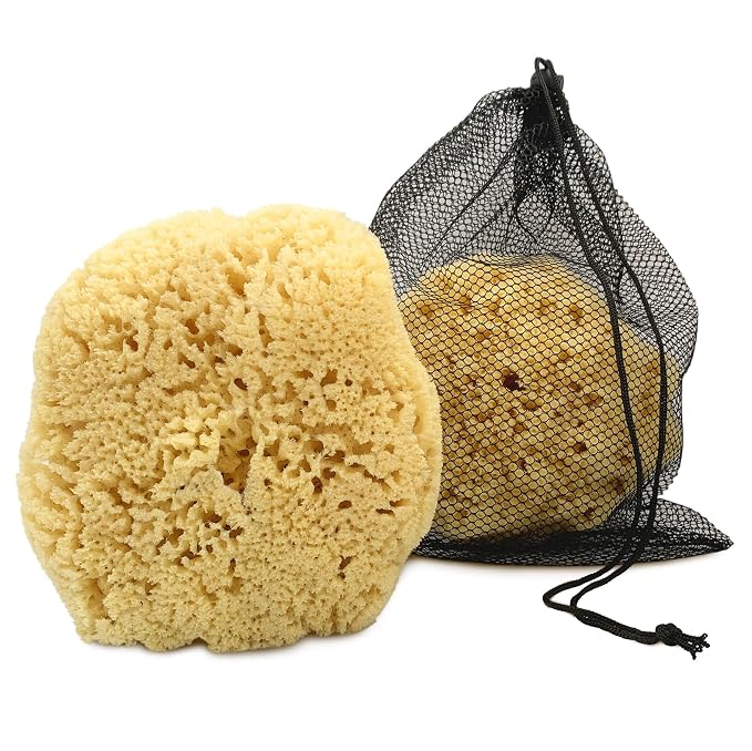 Real Sea Sponge for Men by ConstantiaBeauty