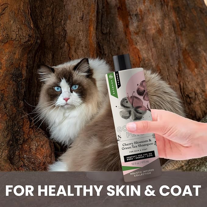 Holistic Natural Derived Cherry Blossom & Green Tea Pet Shampoo: Veterinarian - Image 2