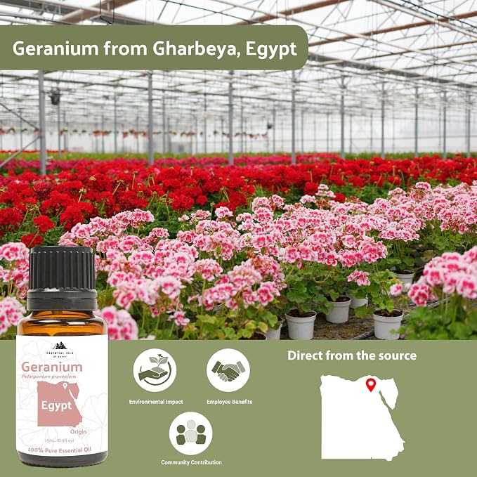 Geranium Essential Oil - Image 3