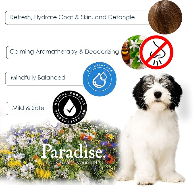 Best Shot Scentament Spa Botanical Body Splash, Detangler Spray, Body Spray - Image 4