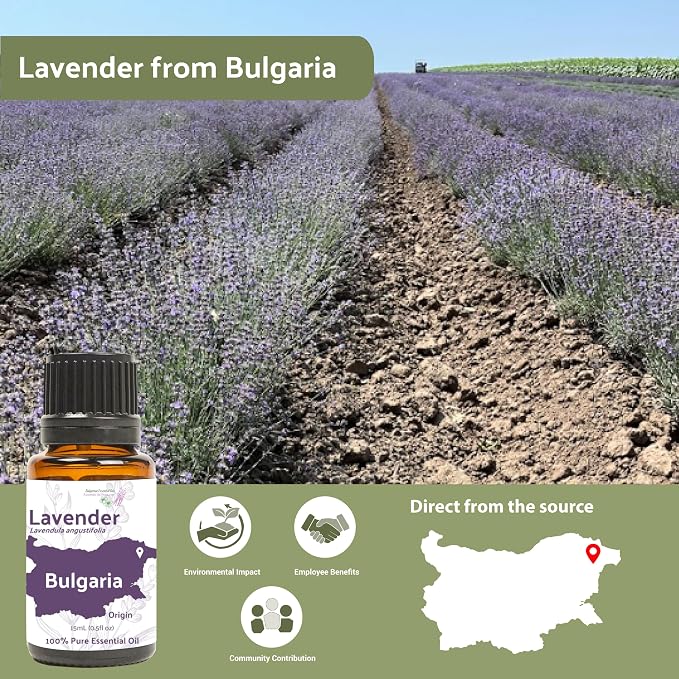Lavender Oil - Bulgarian Essential Oils - Lavender Diffuser - Pure Therapeutic - Image 3