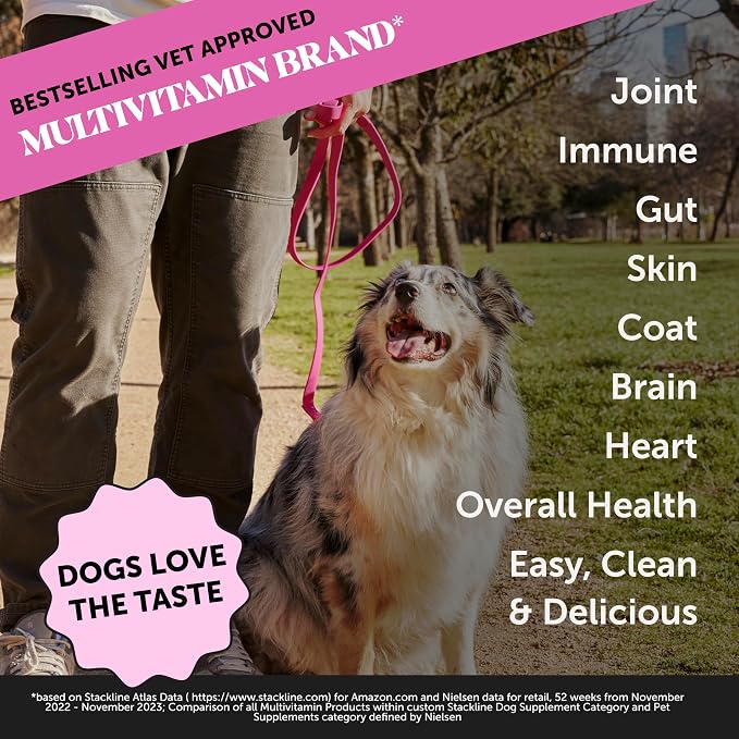 Dog Multivitamin Supplement - Image 2