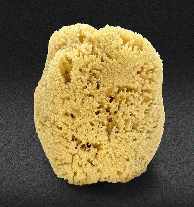 Real Sea Sponge for Men - Image 2
