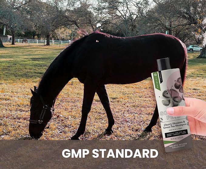 Holistic Natural Derived Cherry Blossom & Green Tea Pet Shampoo: Veterinarian - Image 9