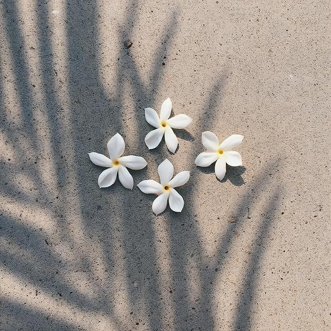 Pikake Body and Hair Mist from Hawaii, Hair Perfume - Image 5
